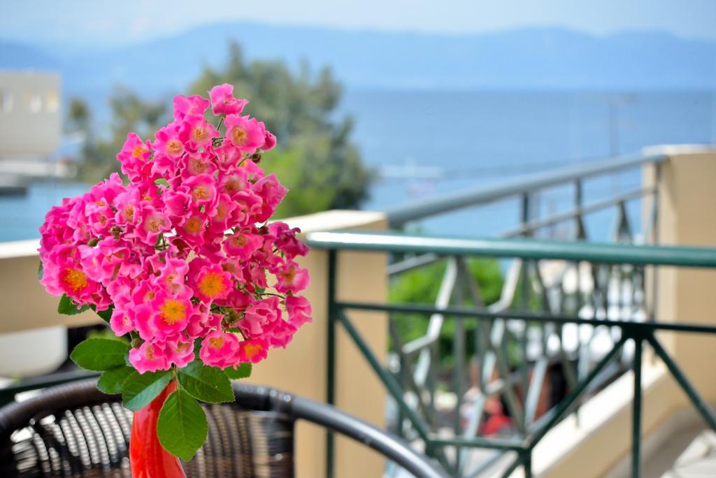Evia Studios Loutra Edipsou  Room photo